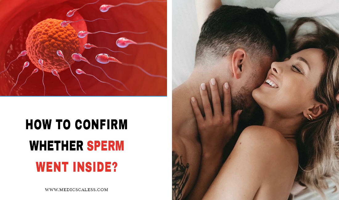 sperm journey